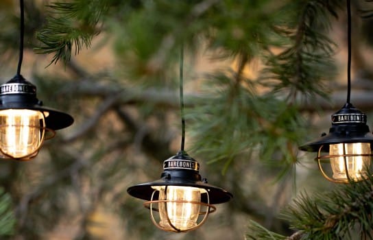 Barebones Edison Pendant & String Lights